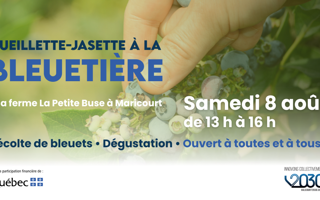 Cueillette-jasette à la bleuetière